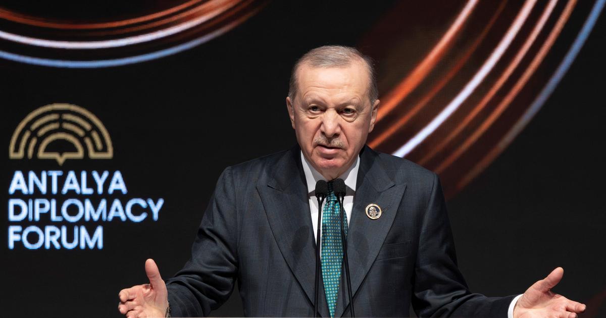 Turquie : Erdogan veut restreindre l'accès aux armes après des fusillades dans des écoles