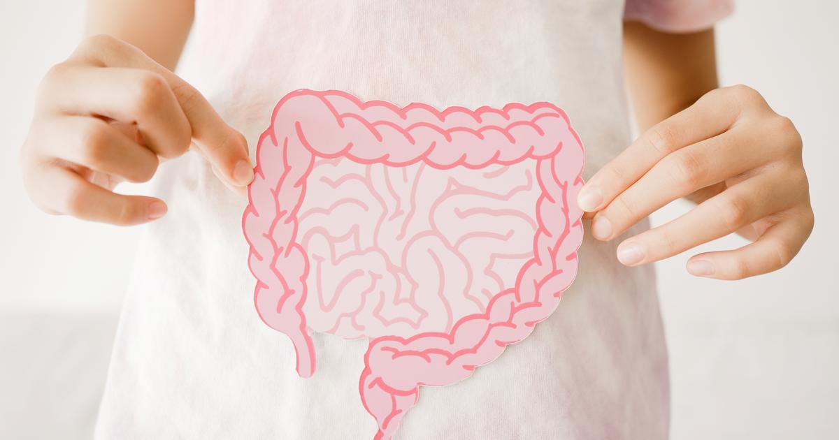 Parkinson's early diagnosis clue could be hiding in our gut