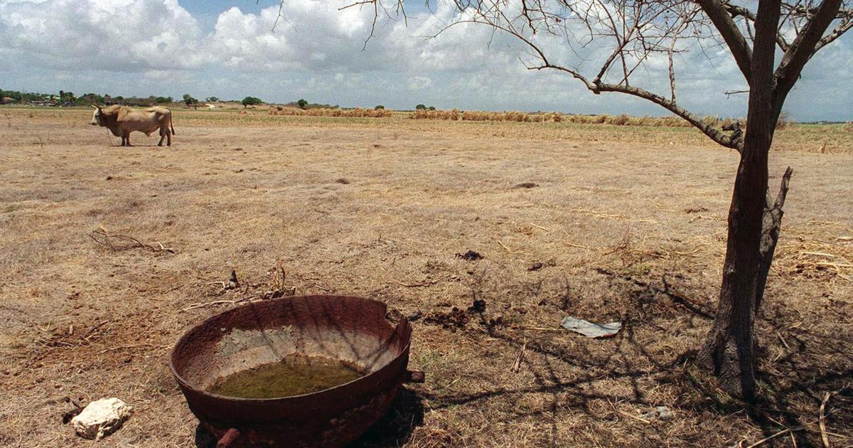 Drought Alert Issued for Grande-Terre and Désirade