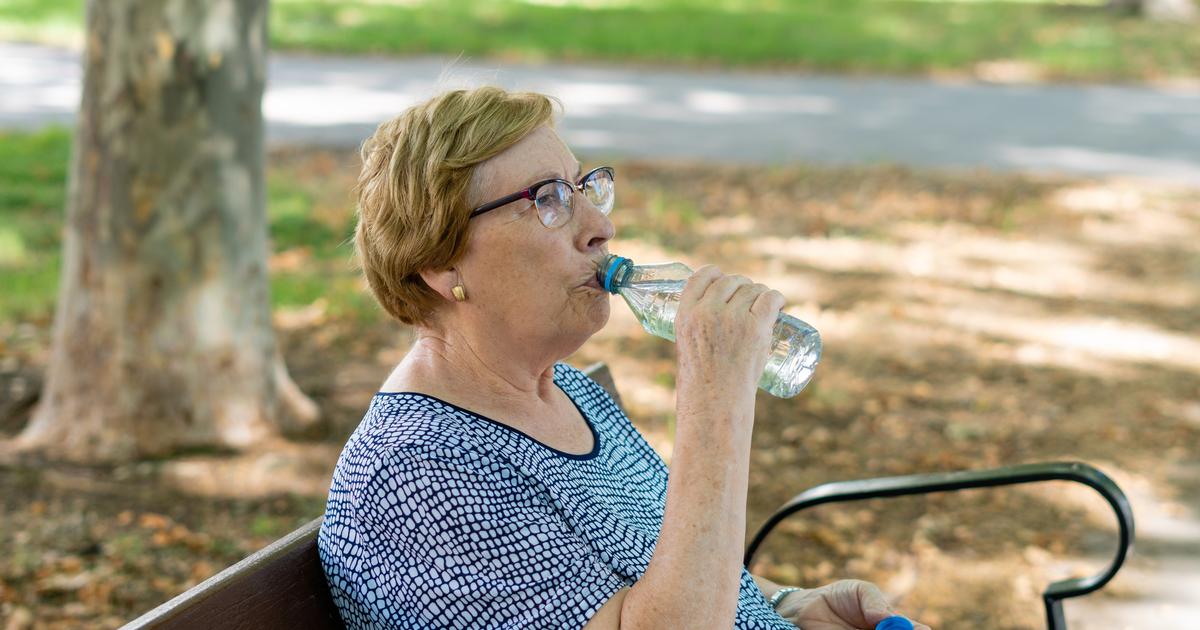 Dengue, pollen… Comment le réchauffement climatique fragilise déjà la santé des Européens