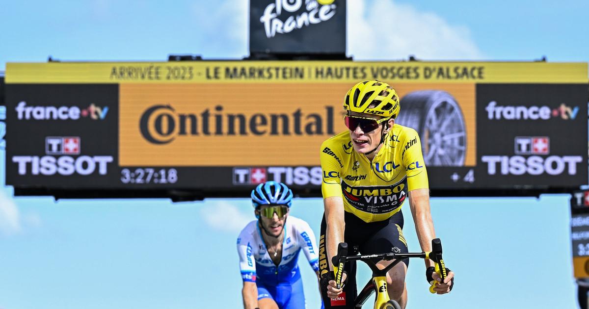 Tour de France : l’abattage de 872 arbres sur la route des coureurs créé la polémique dans le Haut-Rhin