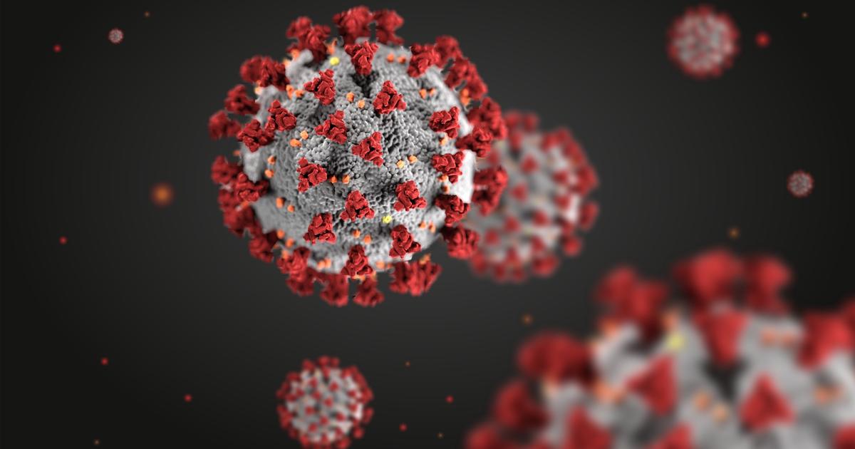 Une nouvelle porte d’entrée dans les cellules humaines découvertes pour les coronavirus