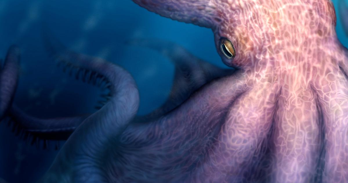 Des pieuvres géantes, grandes comme des immeubles, hantaient les mers au temps des dinosaures
