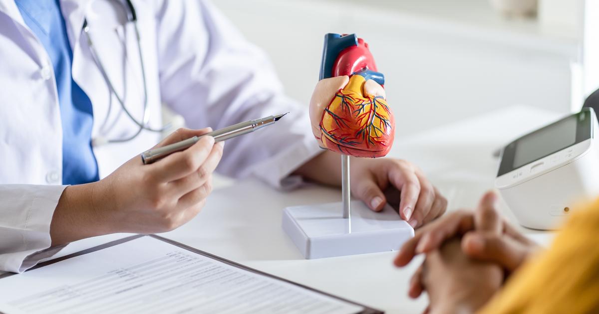 C’est la fin d’un mystère physiologique : on sait désormais ce qui protège le cœur du cancer et des métastases