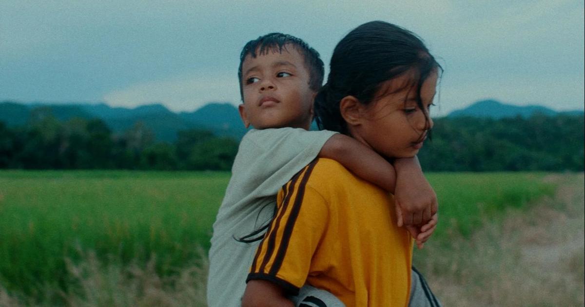 Notre critique des Fleurs du manguier : une odyssée implacable et poignante sur le drame rohingya, à hauteur d’enfants