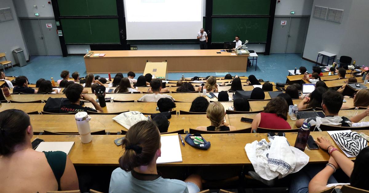 « Pilotage imparfait », « lacunes » : la Cour des comptes se penche sur le financement des universités