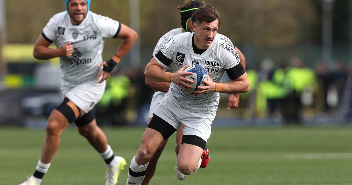 Rugby, Champions Cup : Toulon en quête de sa gloire passée au Leinster