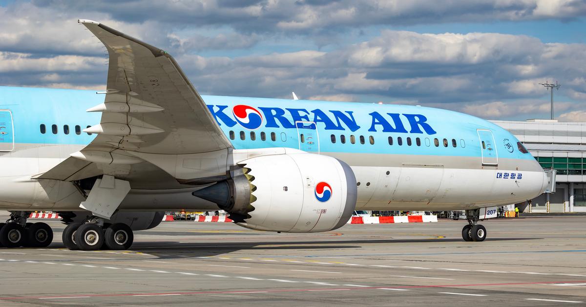 «Transport illégal d’oiseaux de combat» : Korean Air interdit d’embarquer des coqs dans ses avions
