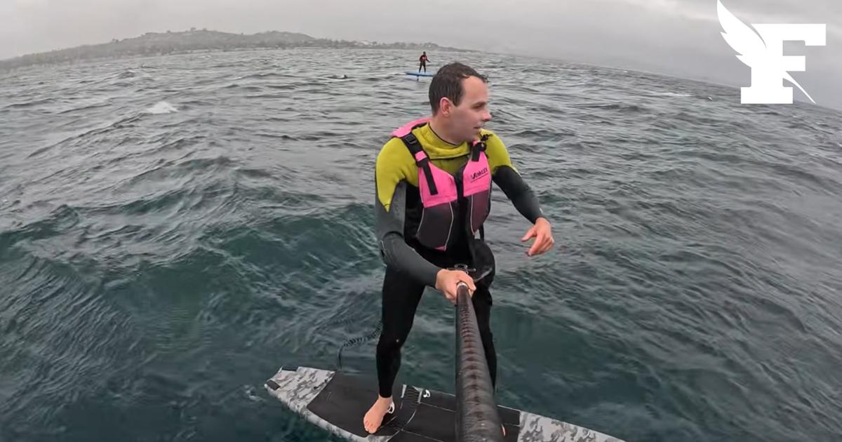 «C’est un dauphin ?» : les images impressionnantes d’un surfeur poursuivi par un requin de 3 mètres en Californie