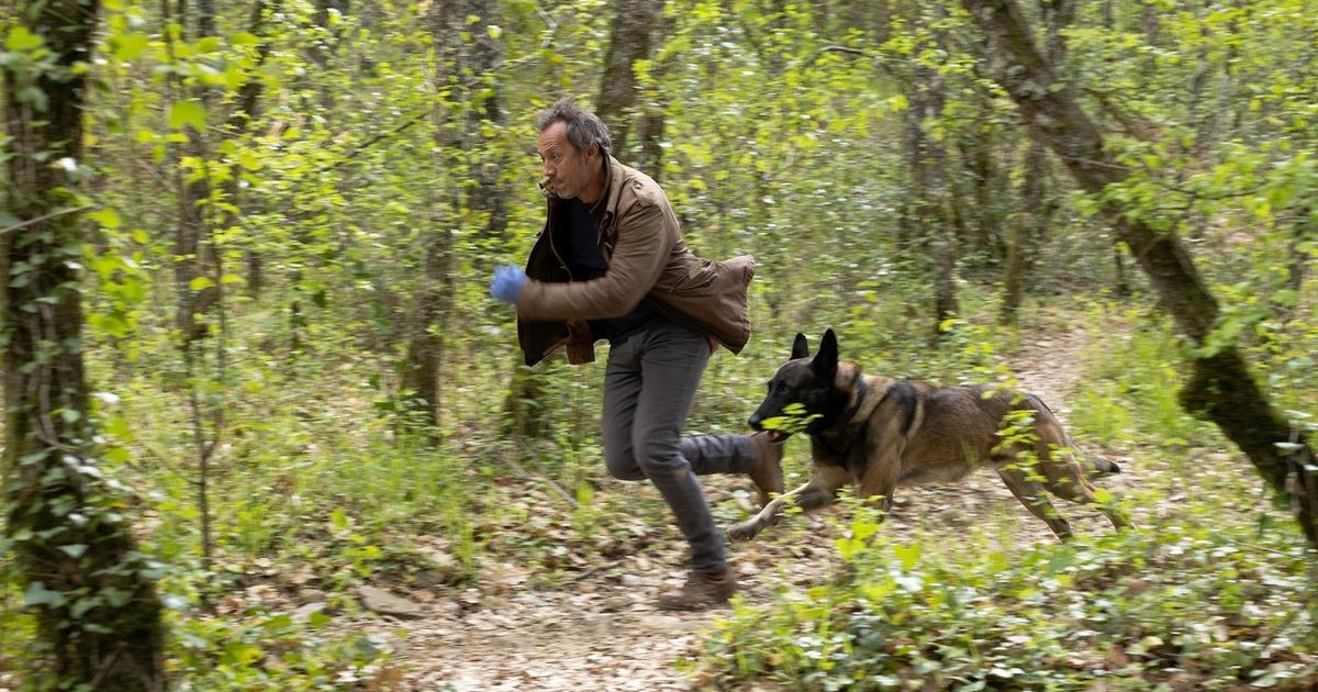Audiences : France 3 loin devant avec Le Voyageur, TF1 loin derrière avec Bref, saison 2