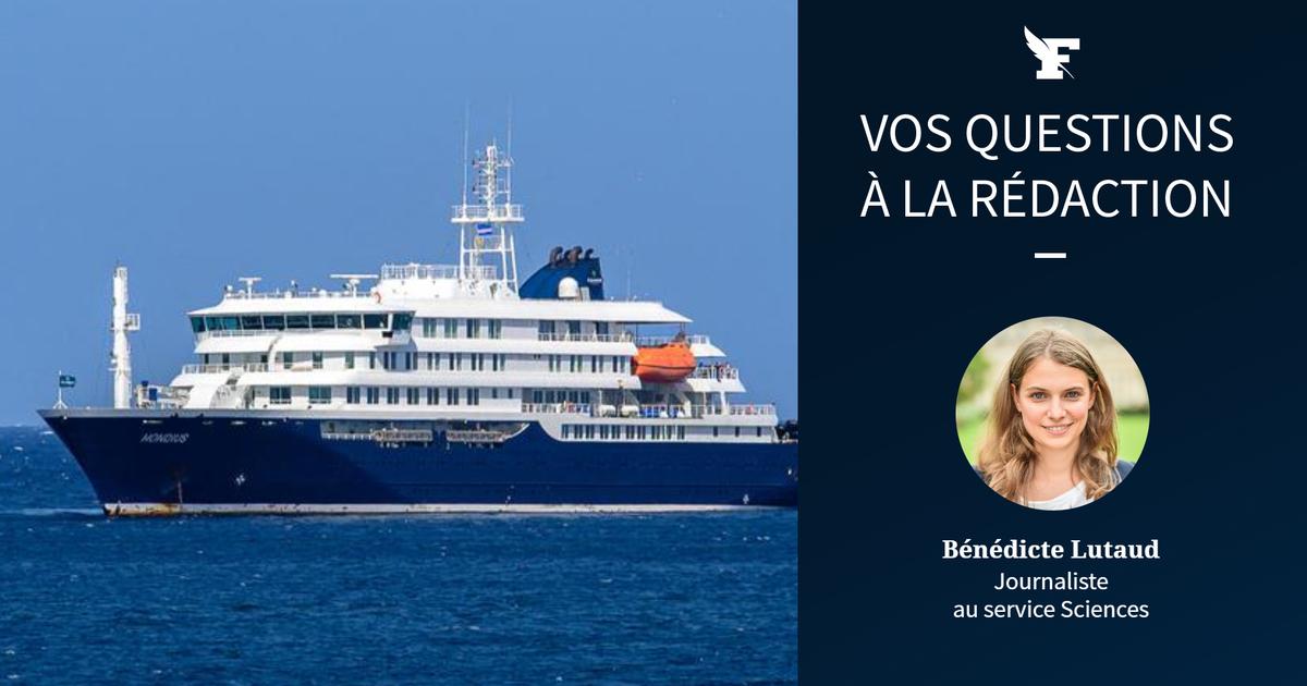 Hantavirus sur un bateau de croisière : posez toutes vos questions à notre journaliste du service sciences