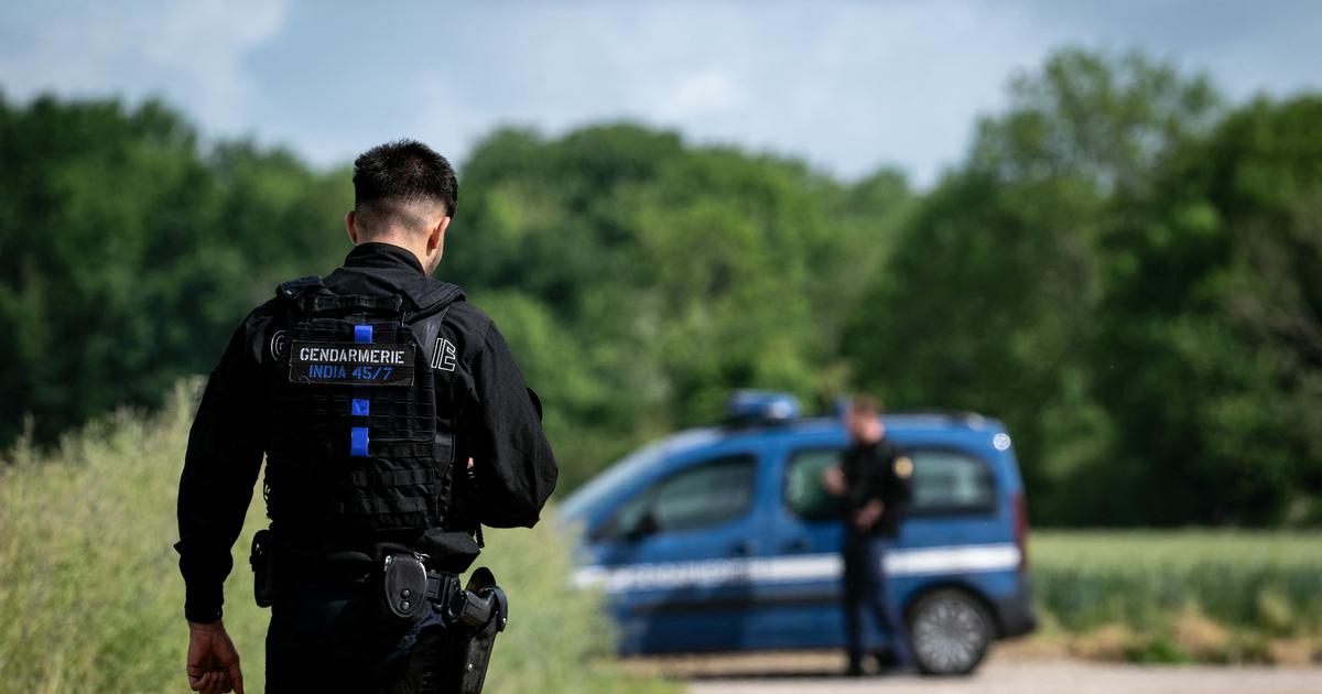 Yonne : les fouilles dans le «cimetière» d'Émile Louis vont reprendre