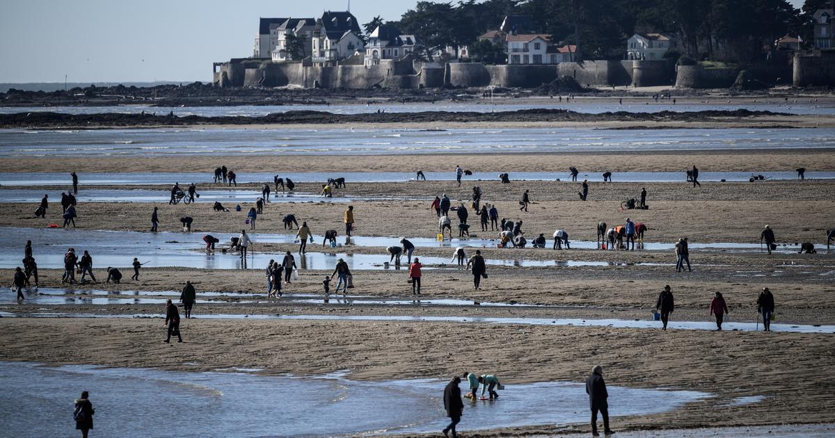 Noyades : 21 adolescents sont morts à l'été 2025, un chiffre qui a doublé par rapport à 2024