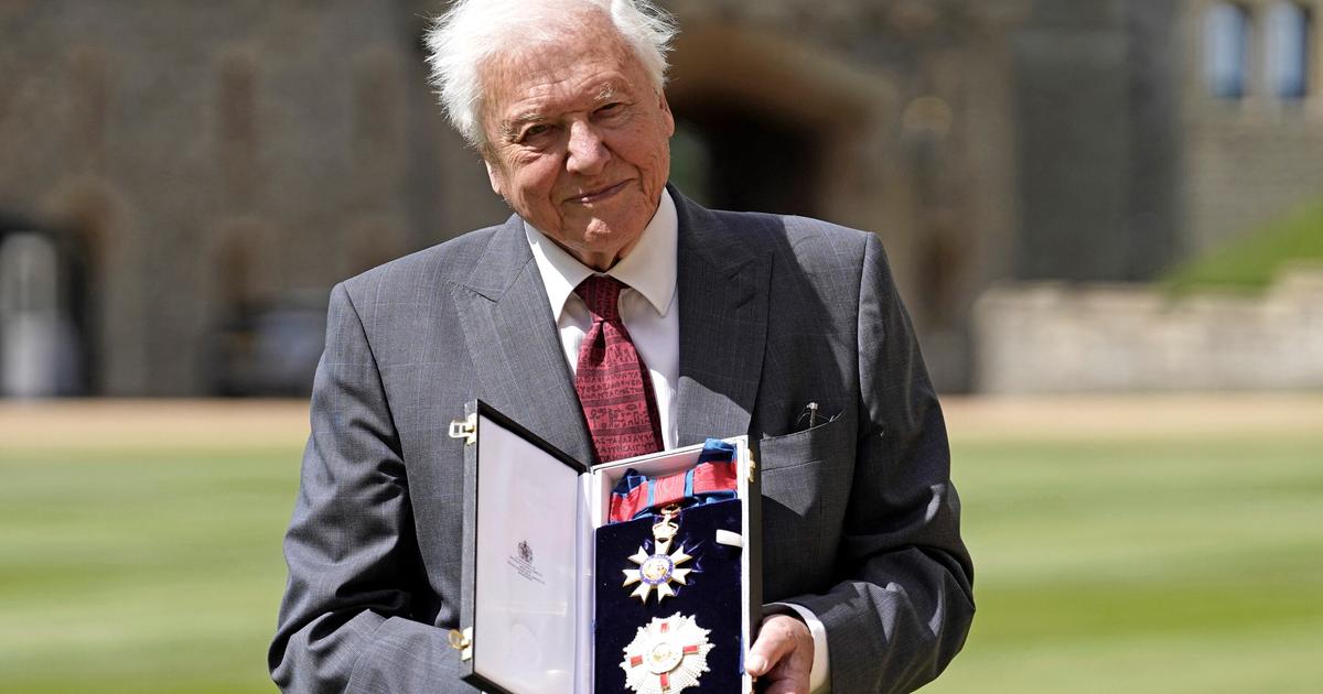 David Attenborough, icône des documentaires animaliers, fête ses 100 ans