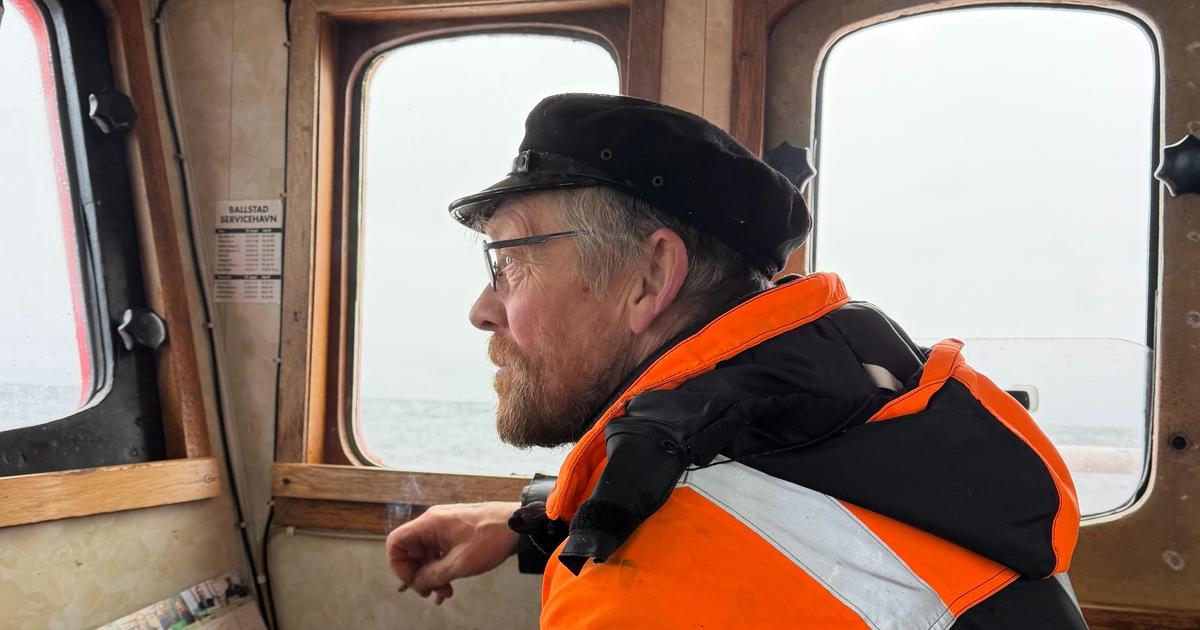 « C’est peut-être la fin d’une tradition millénaire » : en Norvège, face à la raréfaction du cabillaud sauvage, la tentation de l’élevage