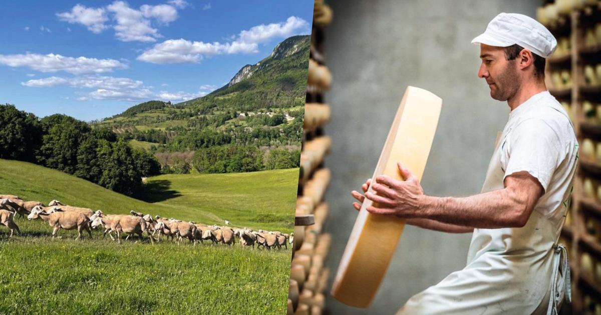 Tourisme rural : immersion dans les métiers et terroirs de montagne