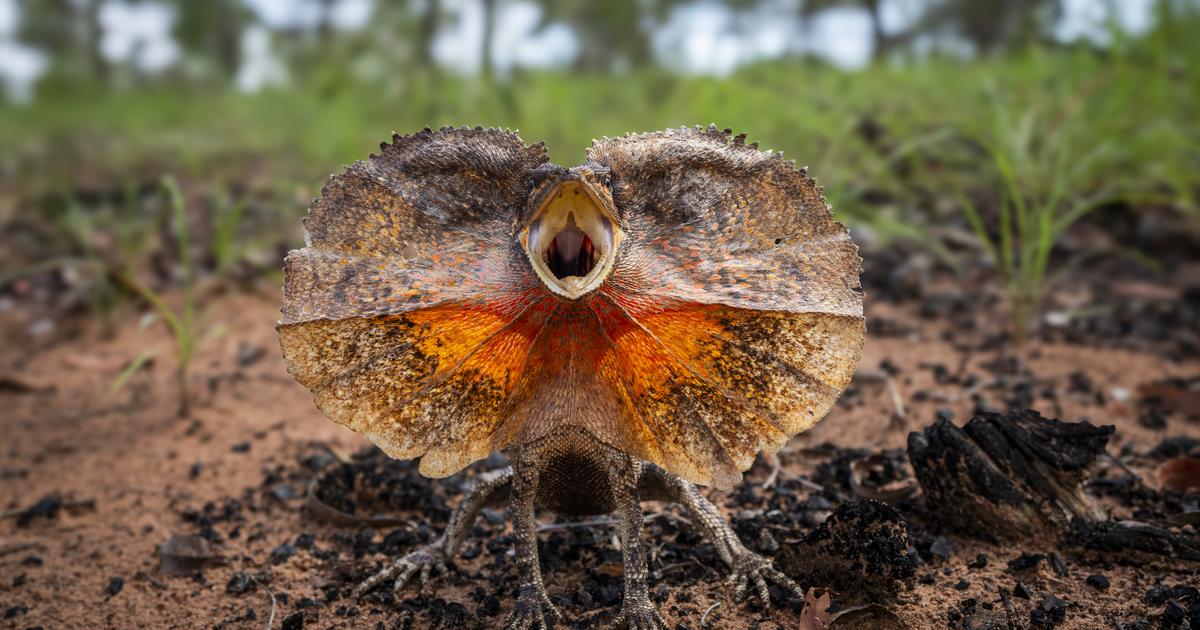 Cap sur l’Australie avec Kimberley : le Grand Ouest sauvage (Arte)