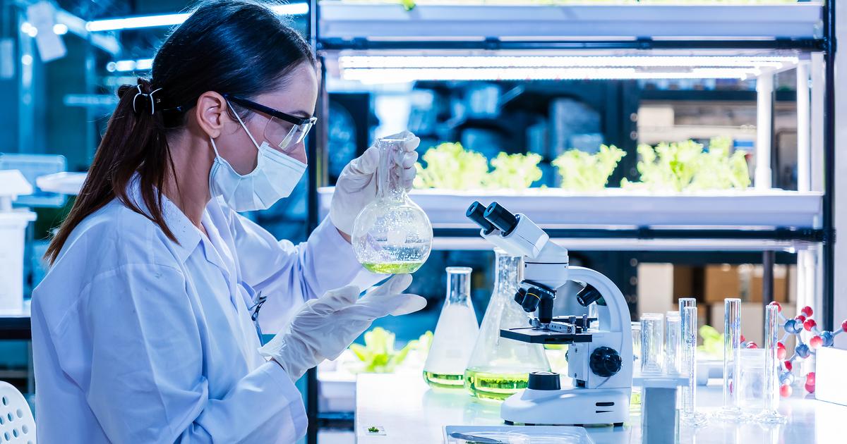 Aurélie Jean : « La recherche scientifique doit être vue comme une compétition »