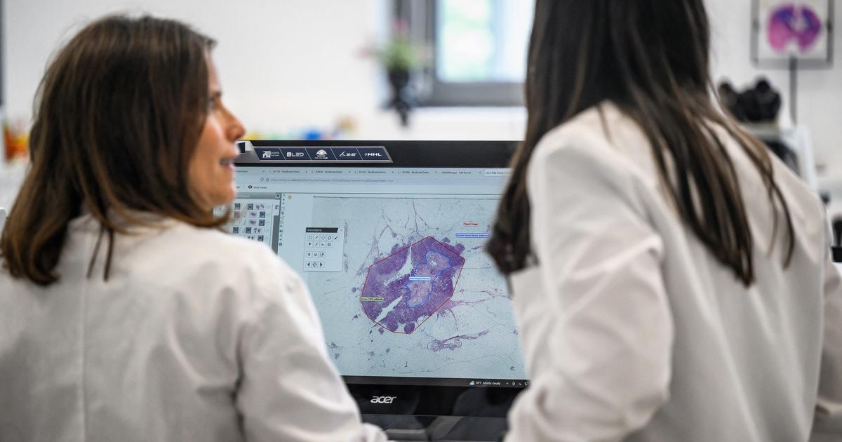 Du rêve de De Gaulle à la menace budgétaire, l’agence mondiale de recherche sur le cancer fête ses 60 ans