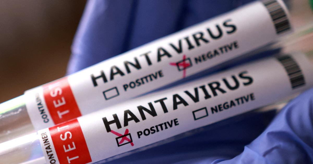 «Ce n’est pas un nouveau Covid» : l’OMS veut rassurer après des cas d’hantavirus sur un navire de croisière