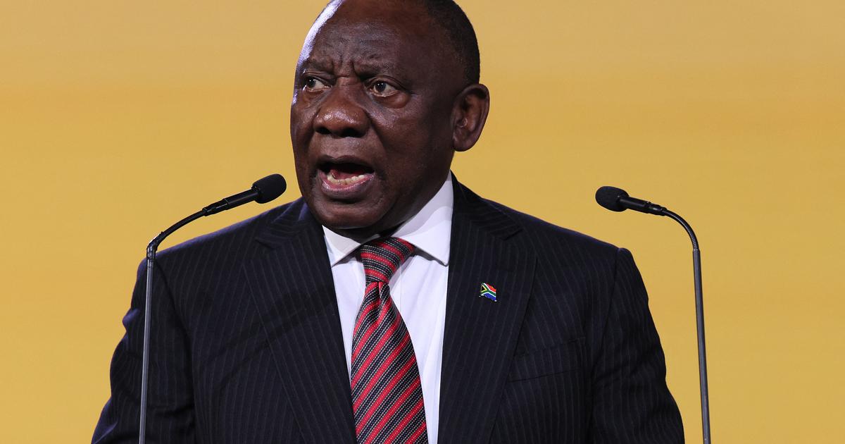 Buffles, cash et canapé : le scandale qui fait à nouveau trembler le président sud-africain Ramaphosa