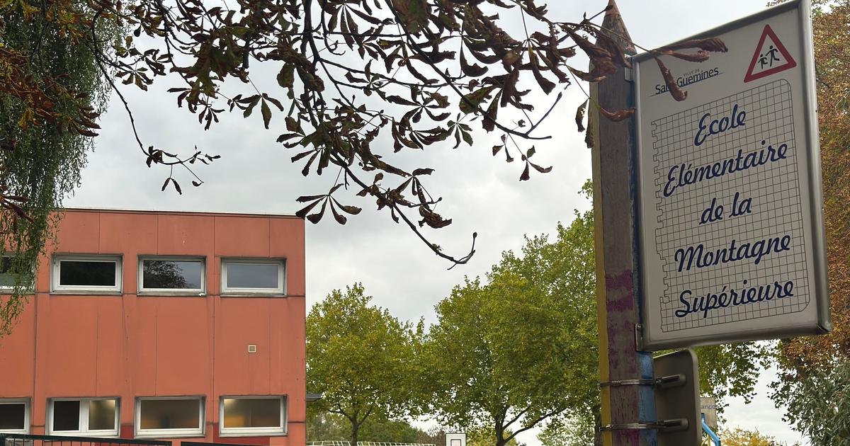 Suicide de Sara à Sarreguemines : la fillette de neuf ans avait bien été victime de harcèlement scolaire, selon une enquête