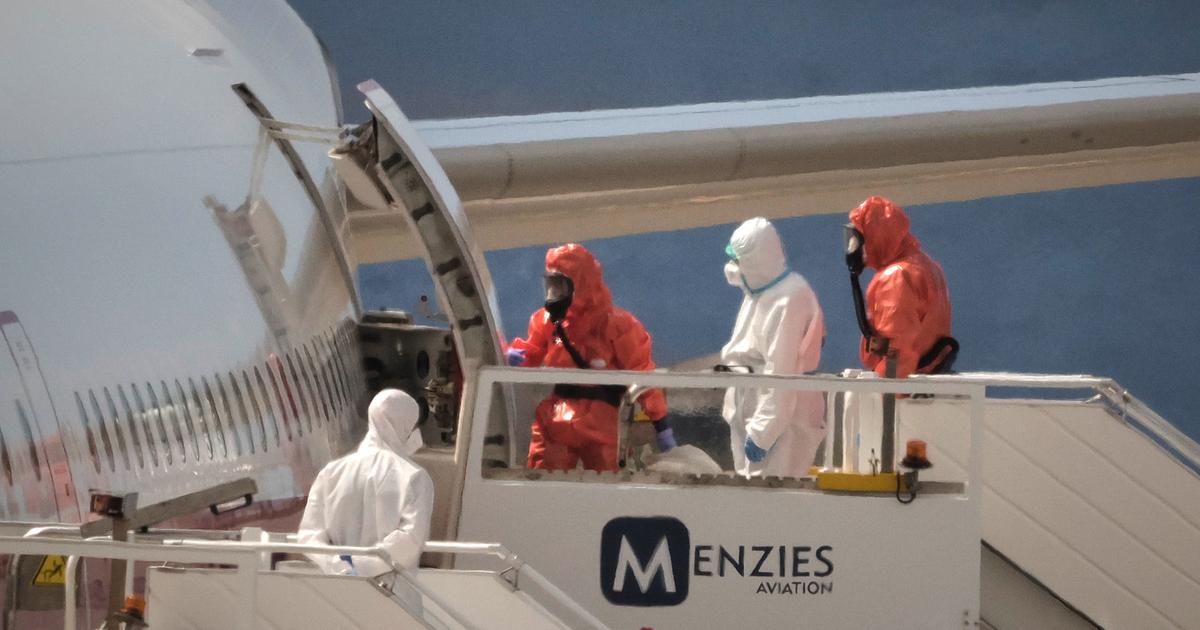 Hantavirus : crainte d’une contamination par des rats nageurs, mesures de protections maximales… Le récit de l’évacuation des passagers du MV Hondius