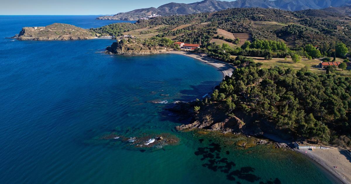 Le Conservatoire du littoral, un projet visionnaire et envié qui a sauvé notre bord de mer