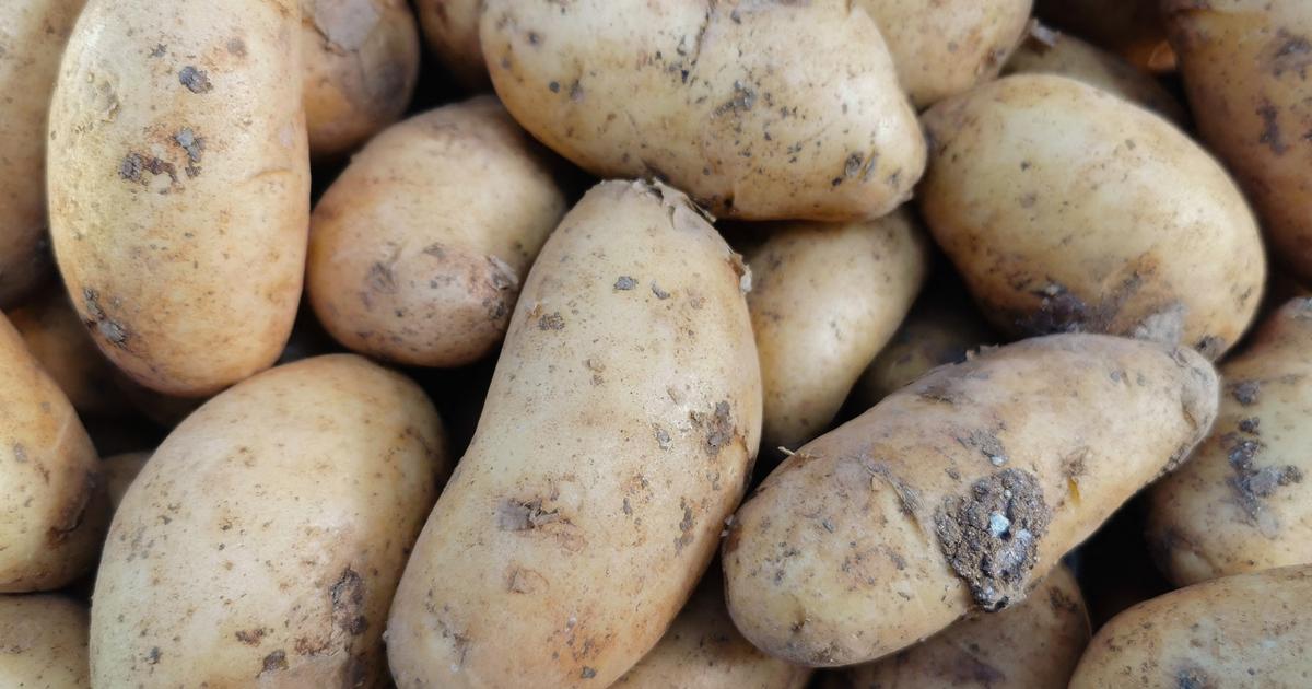 Cadmium : l’usage de ce métal qui empoisonne la moitié des Français pourrait être débattu à l’Assemblée