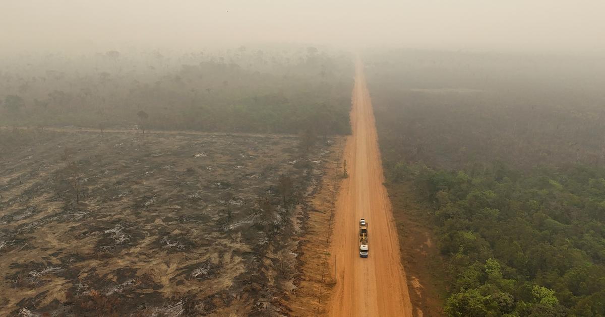Record de température en 2026, «un fort El Niño», plus de feux de forêts… Ces phénomènes qui préoccupent les scientifiques et les experts du climat