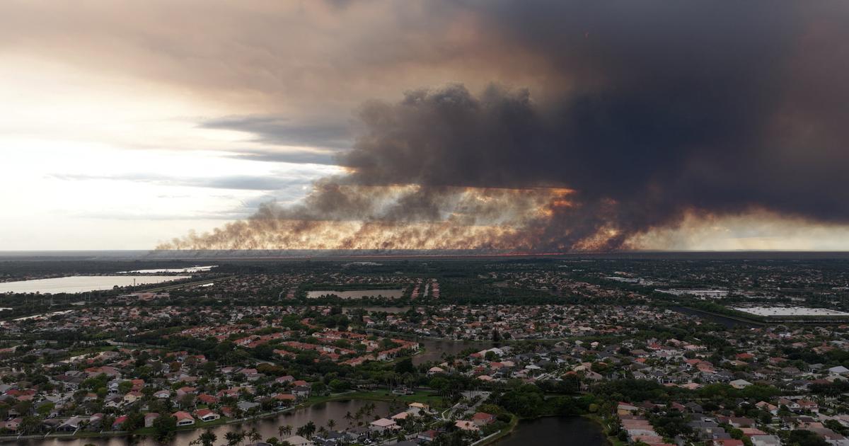 Incendies : une année «particulièrement sévère», selon les chercheurs