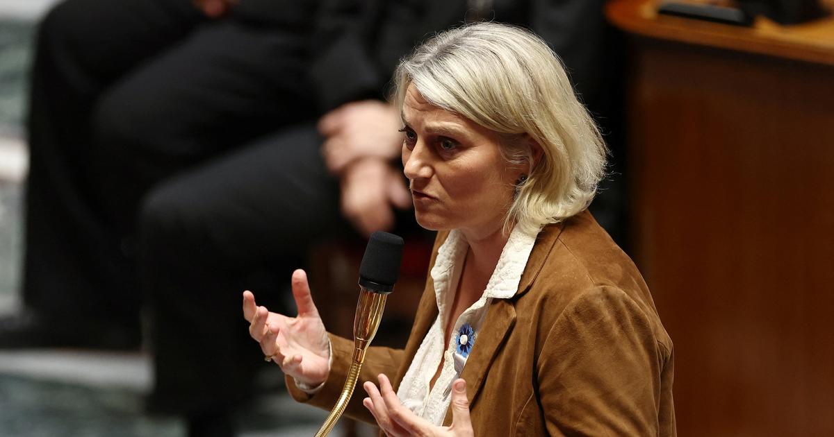 Hantavirus : la ministre de la Santé appelle à l’«infovigilance» face à la désinformation