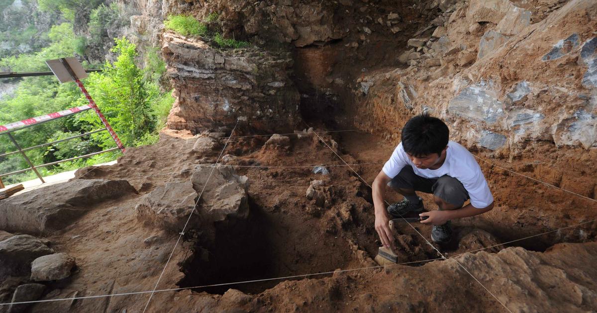 Il y a 400 000 ans, deux espèces humaines se sont métissées