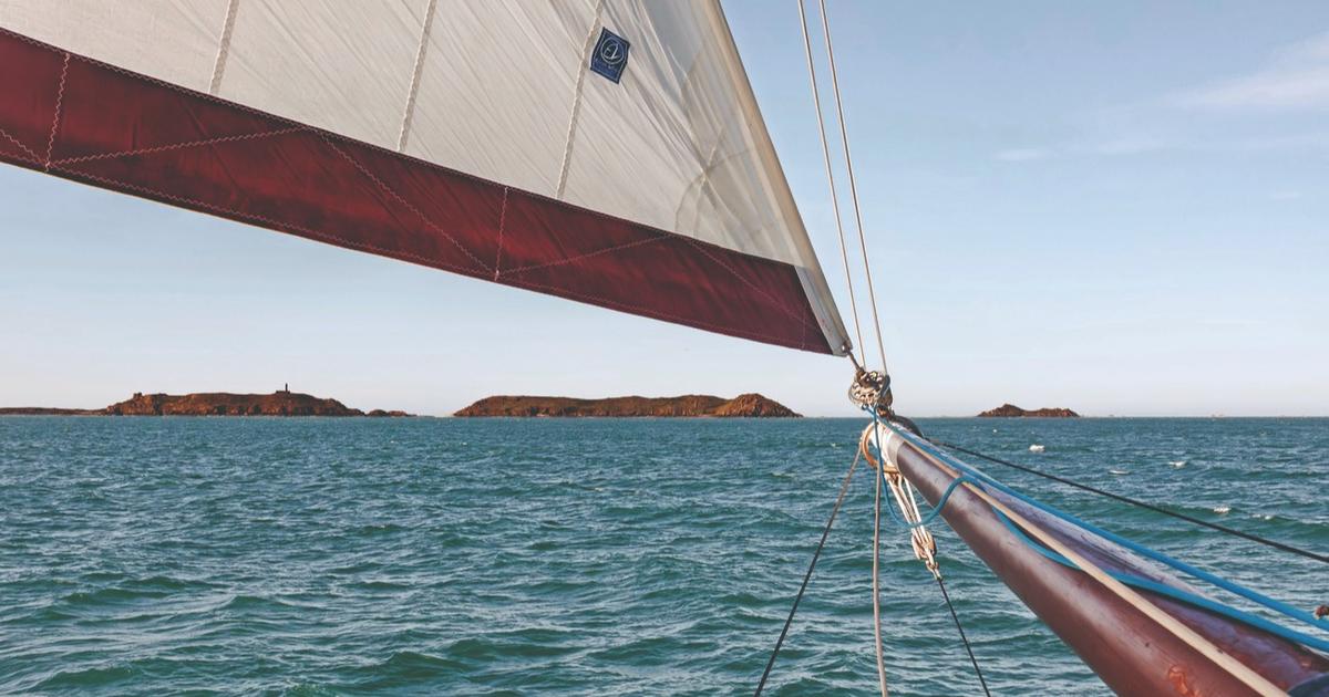 Sur les Sept-Îles de Perros-Guirec, un patrimoine naturel hors du temps et une biodiversité sauvegardée