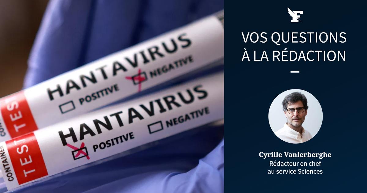 Hantavirus: posez toutes vos questions au rédacteur en chef du service Sciences et médecine