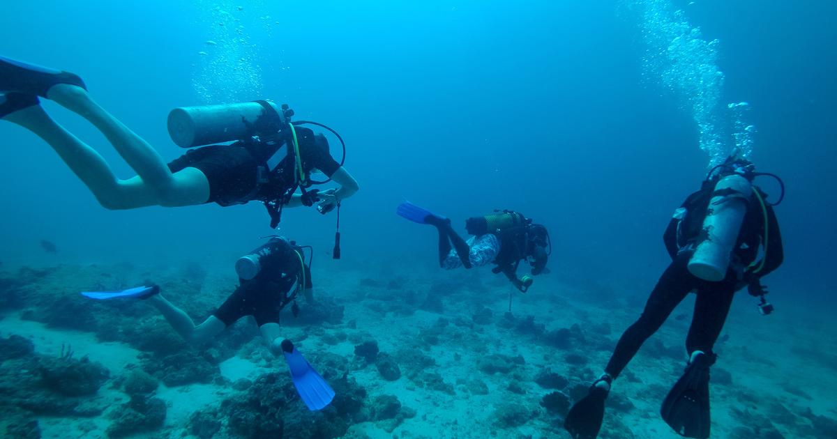 Cinq Italiens décédés dans un accident de plongée aux Maldives