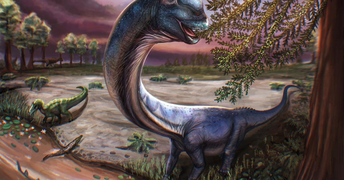 Thaïlande  : le plus grand dinosaure jamais trouvé pesait 27 tonnes et mesurait 27 mètres