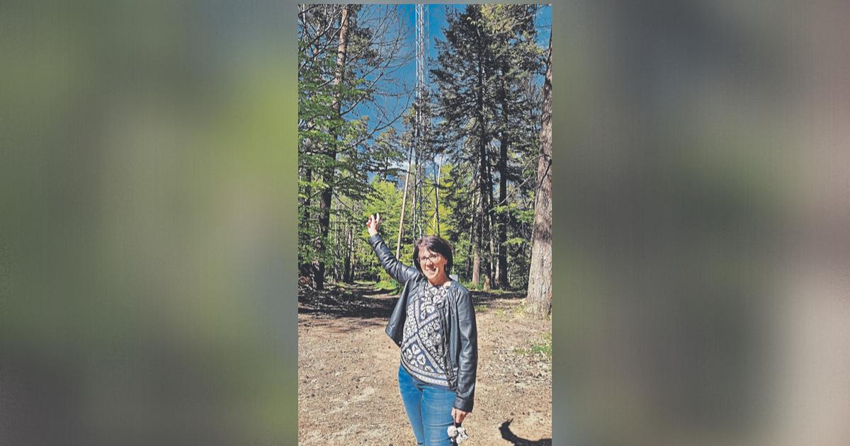 Dans le plus haut village d’Alsace, ce pylône installé au cœur de la forêt qui permet d’«attirer des jeunes ménages»