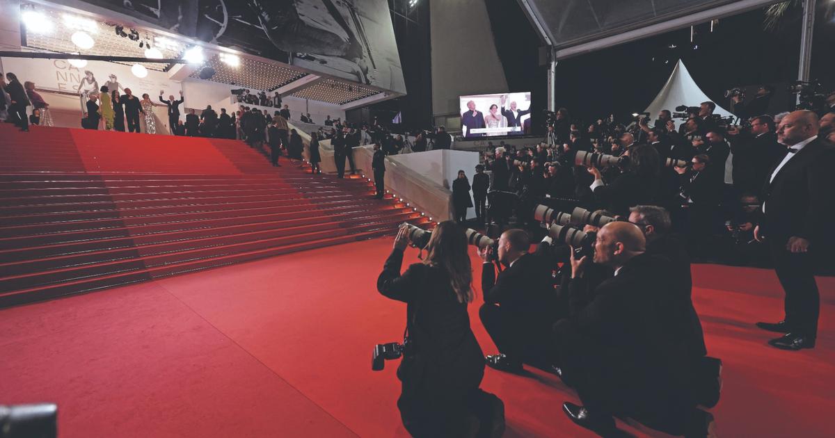 Cannes : la pétition contre Bolloré se prend les pieds dans le tapis