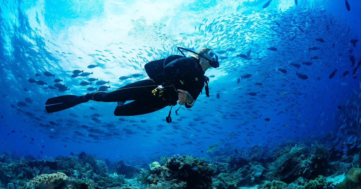 Var : un plongeur de 52 ans porté disparu et recherché à l’est de l’île de Porquerolles