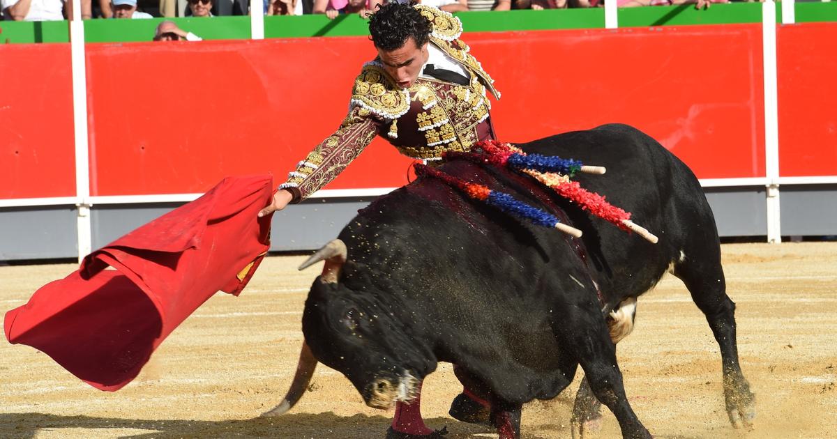 Gironde : la corrida de La Brède suspendue, nouvelle victoire pour les associations d'opposants