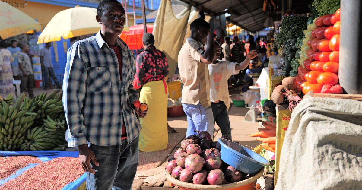 Guerre au Moyen-Orient : la crise des engrais menace l’Afrique de « 14 millions de morts »