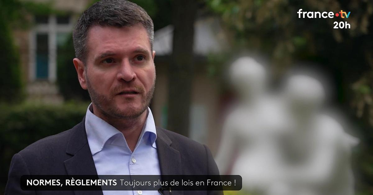 «Respecter l’anonymat des statues» : les internautes intrigués par le choix de France 2 de flouter une statue