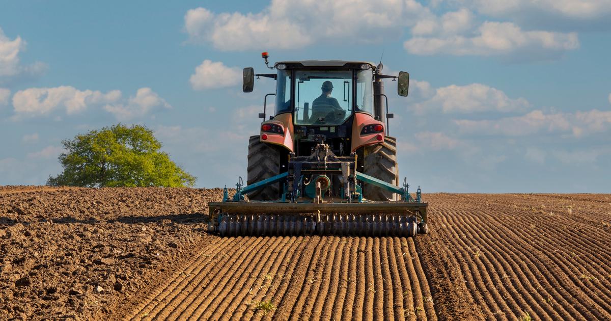 « Est-ce le rôle d’une coopérative de détenir des terres ? » : l’accaparement des terres agricoles, une menace pour la transmission des exploitations