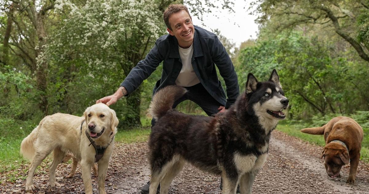 «Sur le front» : ces chiens victimes des excès de la génétique