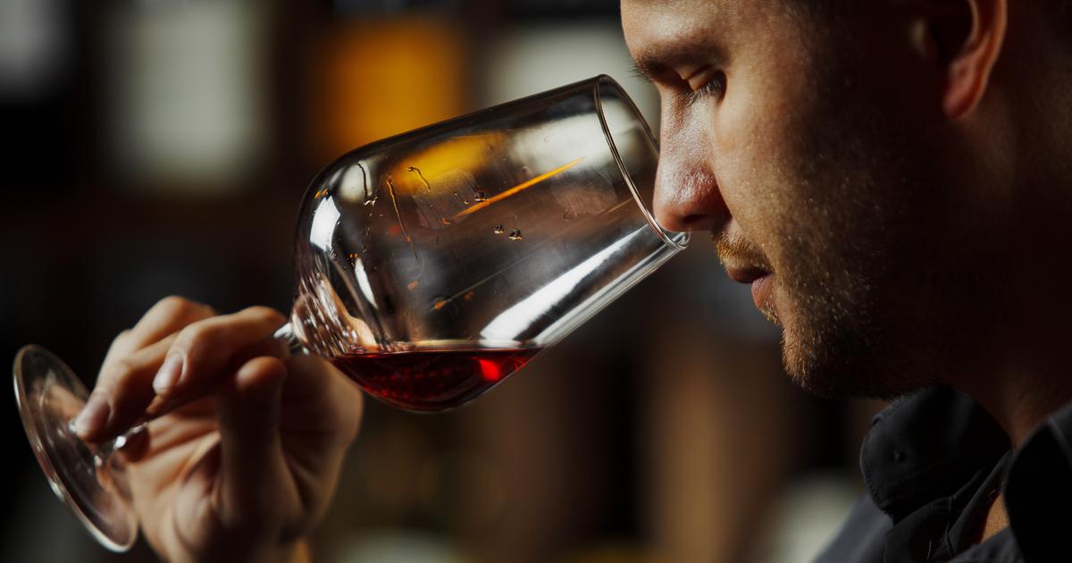 «Ce vin a mis en larmes presque tout le monde dans la salle» : quels sont les plus grands souvenirs des dégustateurs du Figaro ?