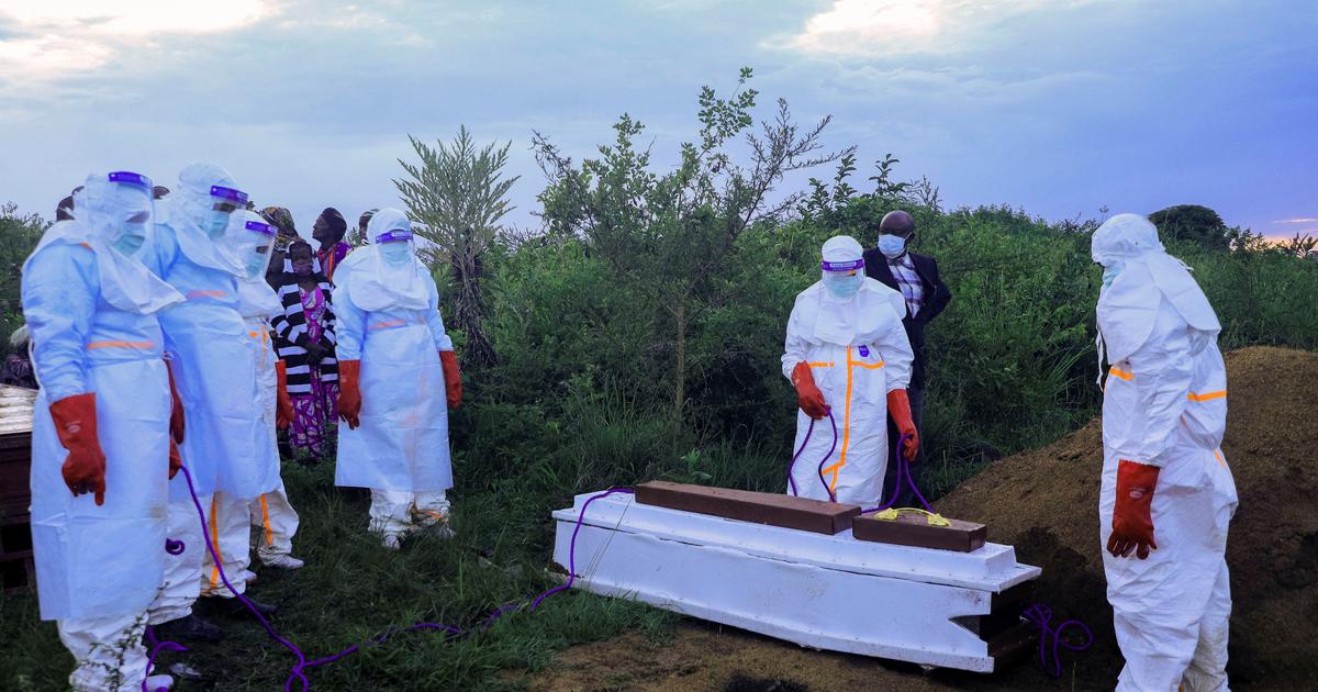 Ebola: plus de 900 cas suspects en RDC, selon l'OMS