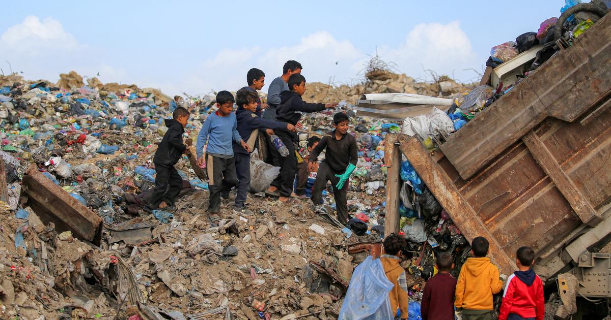 «J’ai trouvé mon fils en larmes et couvert de sang» : à Gaza, les rats envahissent les camps, mordent les enfants et propagent des maladies