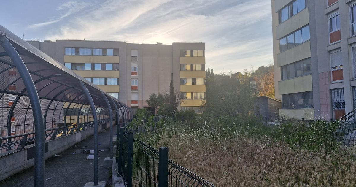 Week-end troublé entre coups de feu et coups de couteau dans les Alpes-Maritimes