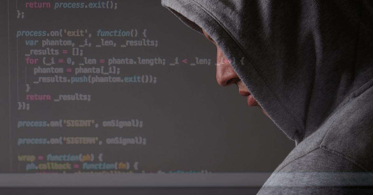 Guadeloupe : un Américain, accusé d'avoir dérobé 46 millions de dollars en cryptomonnaies au gouvernement, va être extradé